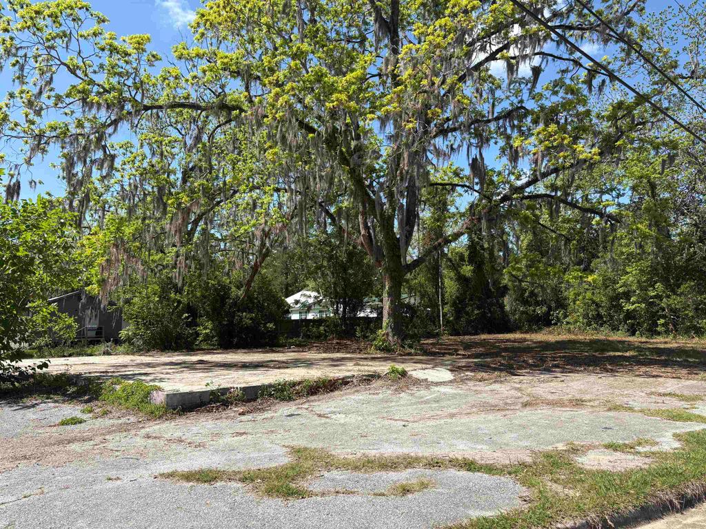 Photo of 923 King St. Street, Monticello, FL 32344 (MLS # 398707)