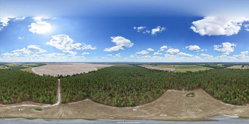 Photo of 2542 SE Olustee Drive, Lee, FL 32059 (MLS # 393070)