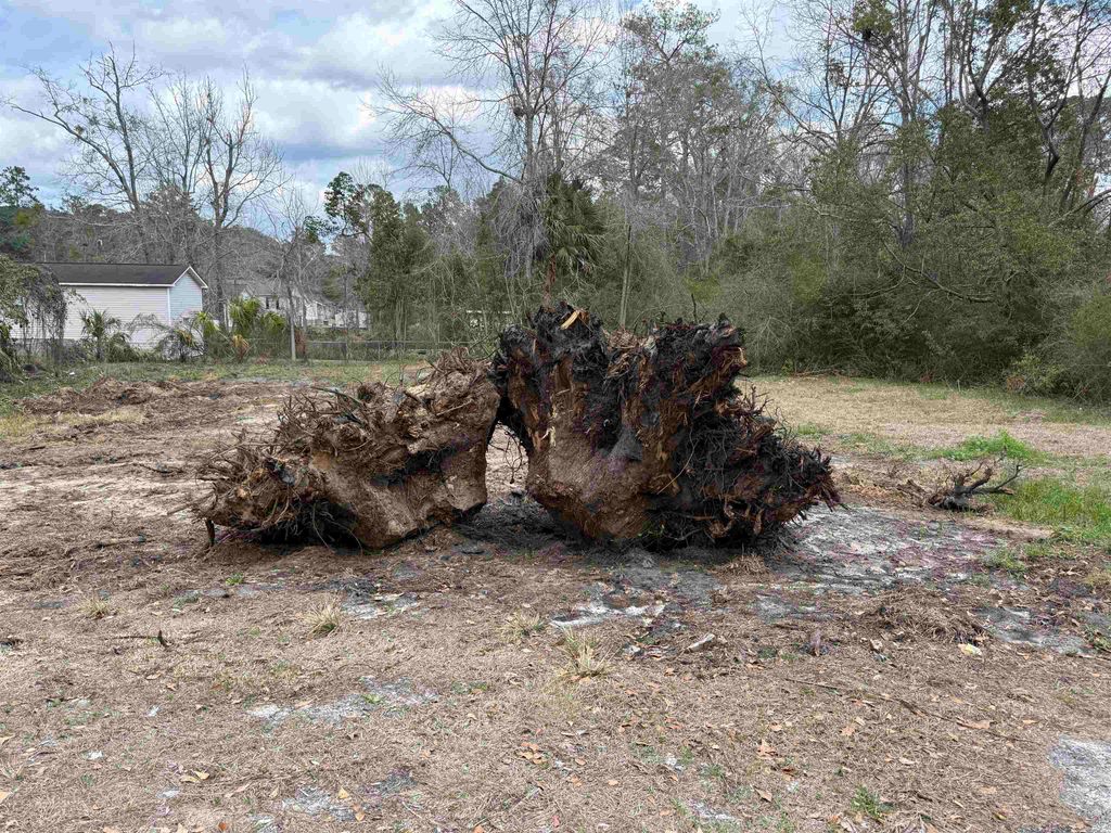 Photo of 0 Hardaway Street, Thomasville, GA 31792 (MLS # 397918)