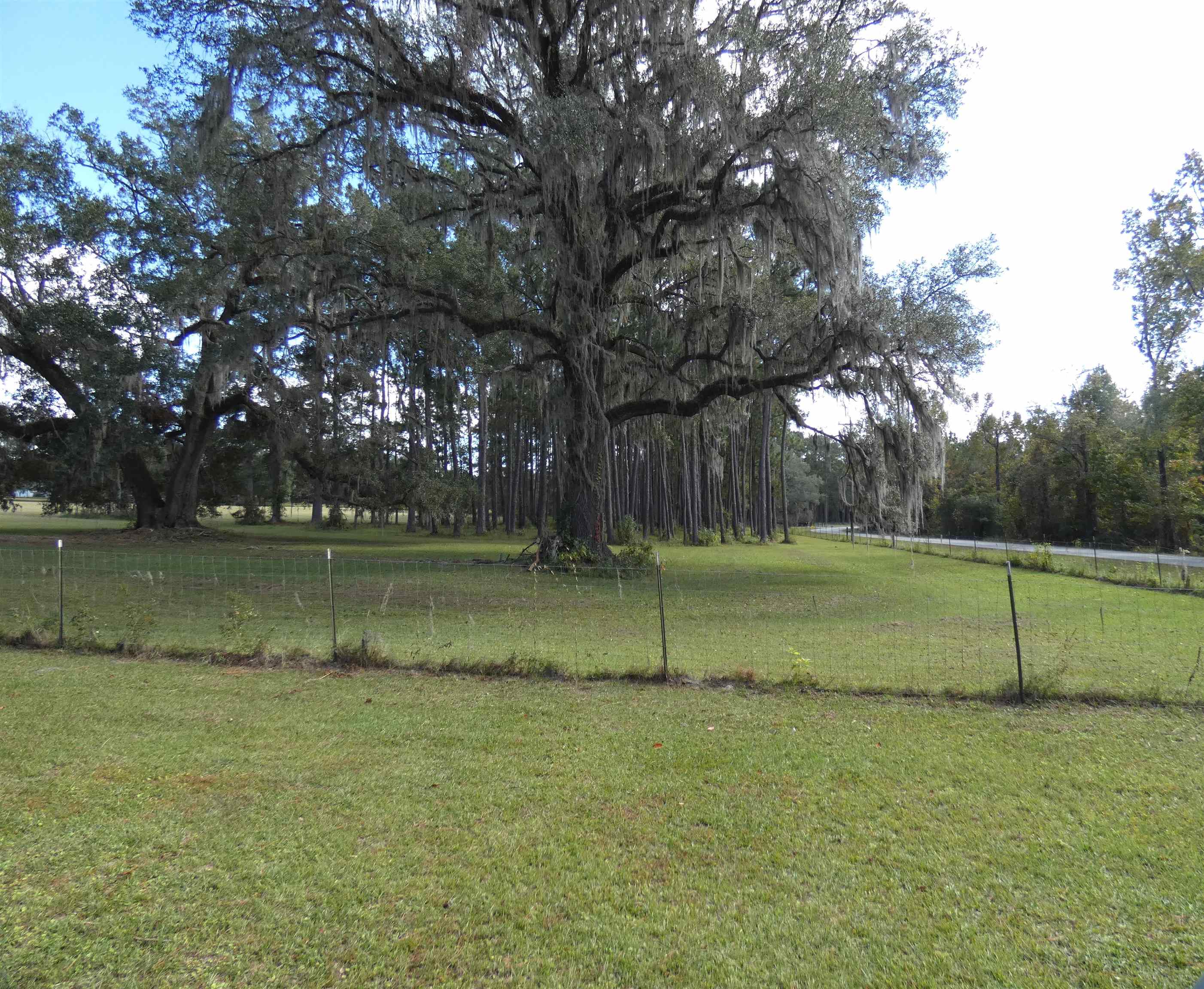 TBD Taylor Road