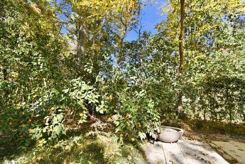 Tiny photo for 2492 Elfinwing Lane, Tallahassee, FL 32309 (MLS # 393172)