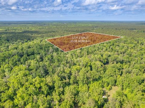 20 ac OLD TOWN HAMMOCK Lane Crawfordville FL 32327