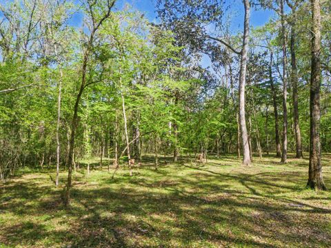 Tiny photo for 473 Beechwood Drive, Crawfordville, FL 32327 (MLS # 398077)