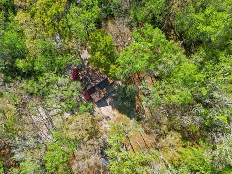 Tiny photo for 473 Beechwood Drive, Crawfordville, FL 32327 (MLS # 398077)