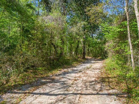 Tiny photo for 473 Beechwood Drive, Crawfordville, FL 32327 (MLS # 398077)