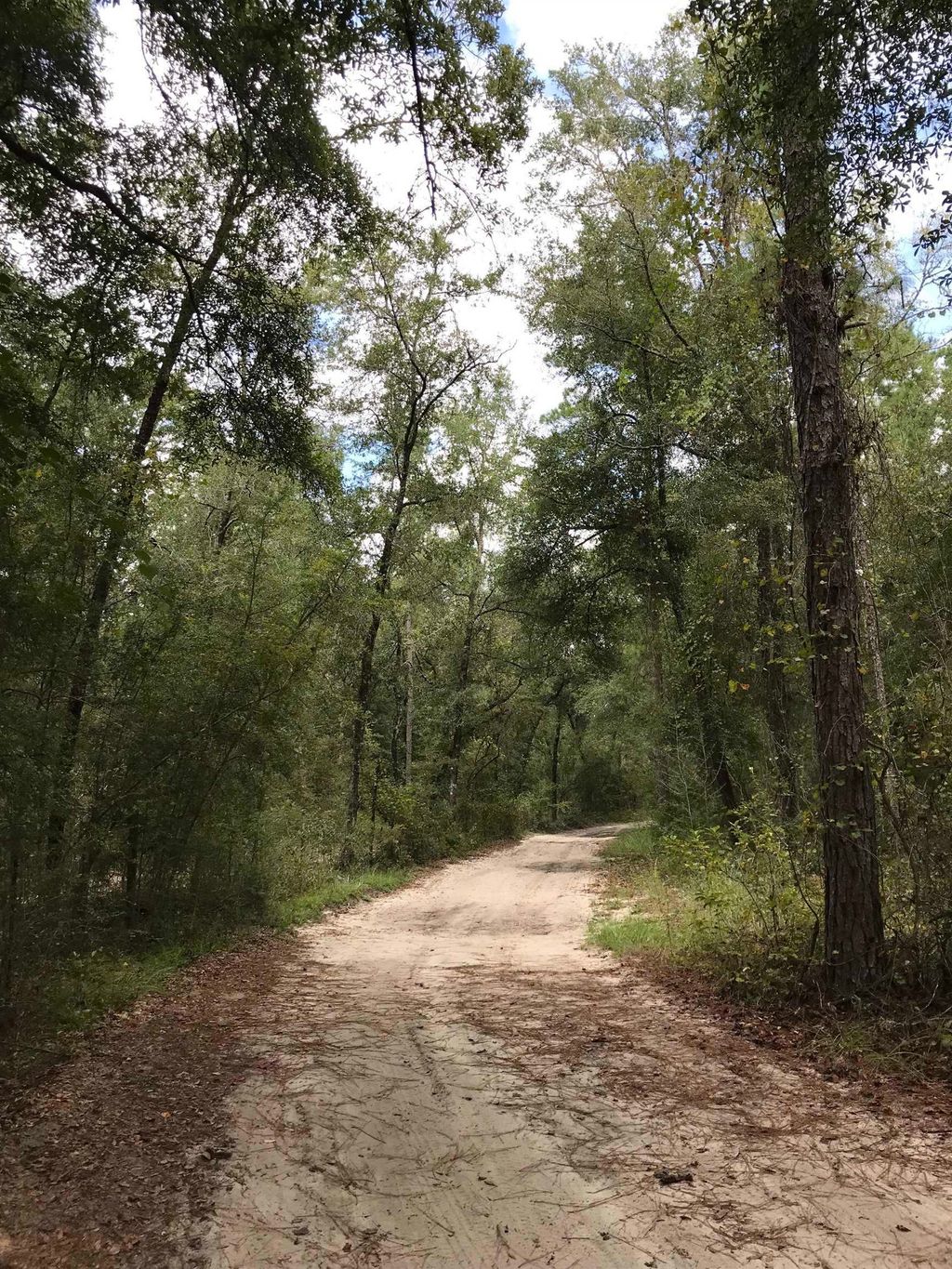 Photo of 0 Andrew Spears Road, Crawfordville, FL 32327 (MLS # 374011)