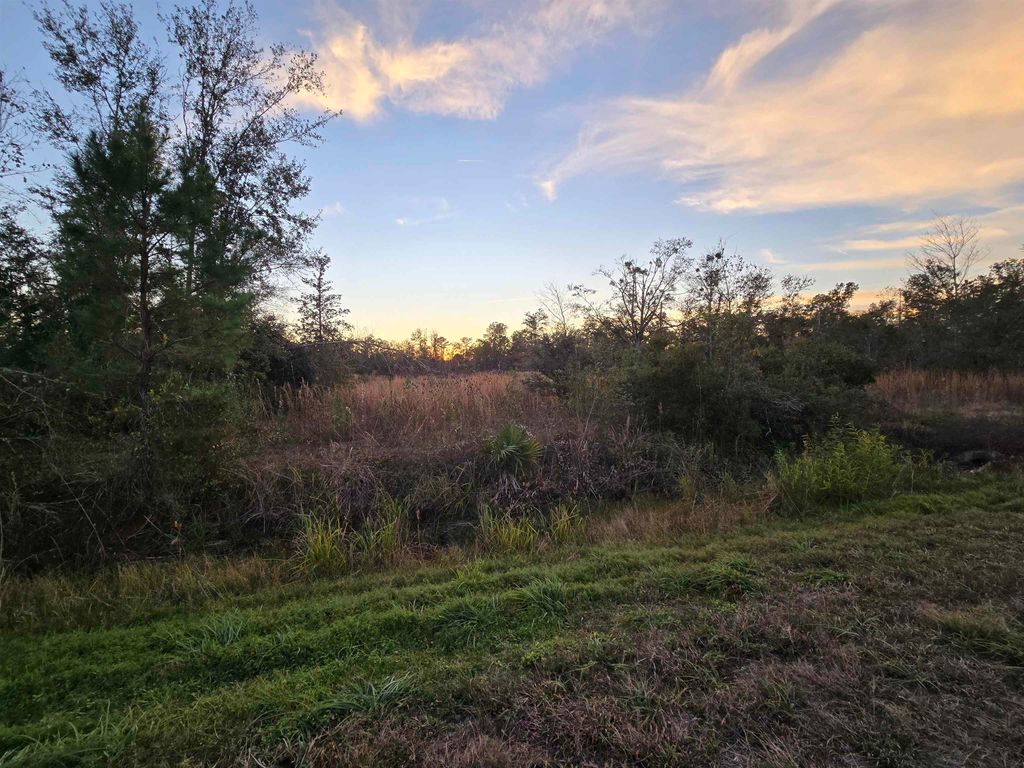 Photo of 16301 S US 19, Perry, FL 32356 (MLS # 394417)