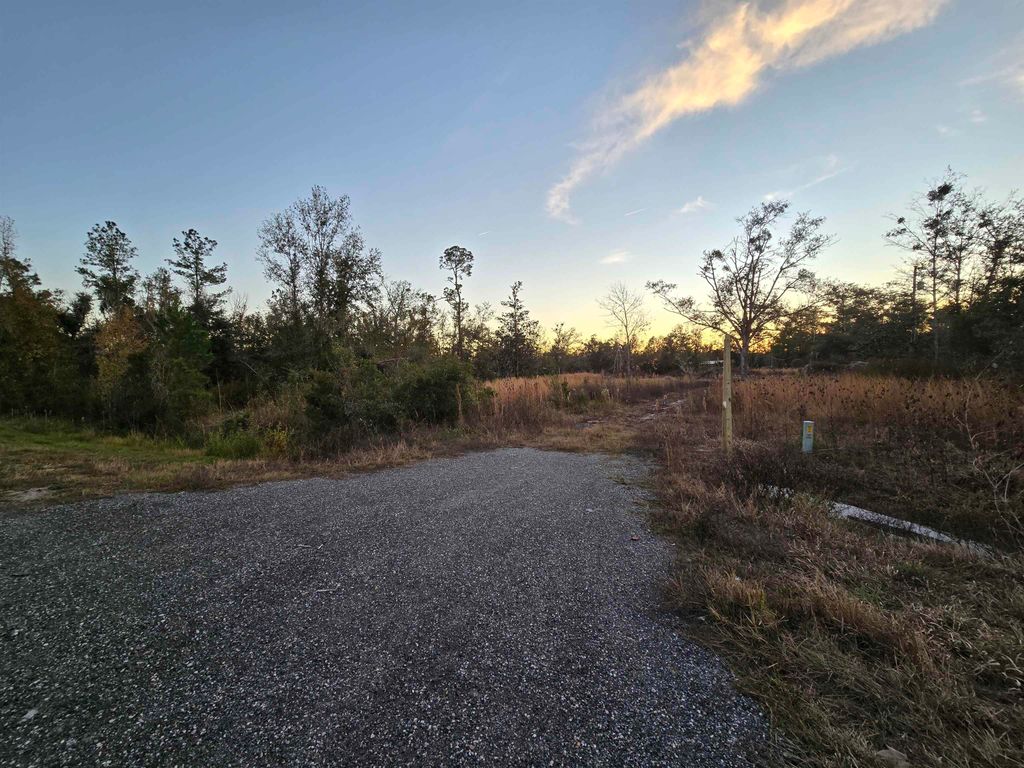 Photo of 16301 S US 19, Perry, FL 32356 (MLS # 394417)