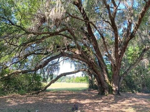 Tiny photo for 50 Belle Forbes Lane, Crawfordville, FL 32327 (MLS # 394531)