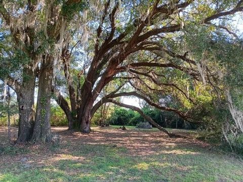 Tiny photo for 50 Belle Forbes Lane, Crawfordville, FL 32327 (MLS # 394531)