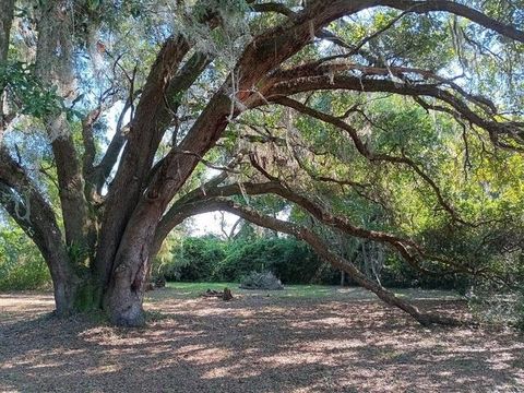 Tiny photo for 50 Belle Forbes Lane, Crawfordville, FL 32327 (MLS # 394531)