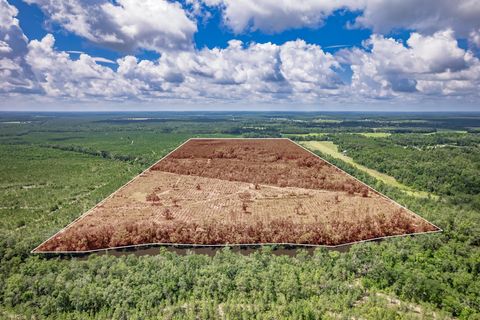 Tiny photo for xxx NE Hickory Grove Road, Pinetta, FL 32350 (MLS # 401744)