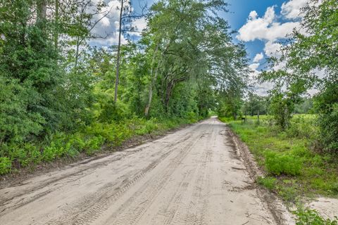 Tiny photo for xxx NE Hickory Grove Road, Pinetta, FL 32350 (MLS # 401744)