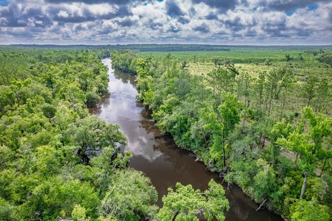 Tiny photo for xxx NE Hickory Grove Road, Pinetta, FL 32350 (MLS # 401744)
