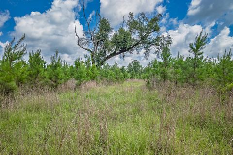 Tiny photo for xxx NE Hickory Grove Road, Pinetta, FL 32350 (MLS # 401744)