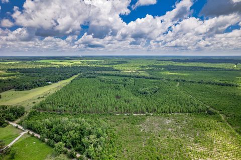 Tiny photo for xxx NE Hickory Grove Road, Pinetta, FL 32350 (MLS # 401744)