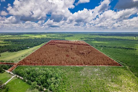 Tiny photo for xxx NE Hickory Grove Road, Pinetta, FL 32350 (MLS # 401744)