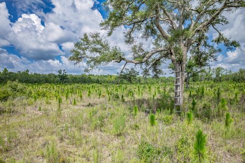 Tiny photo for xxx NE Hickory Grove Road, Pinetta, FL 32350 (MLS # 401744)