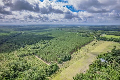 Tiny photo for xxx NE Hickory Grove Road, Pinetta, FL 32350 (MLS # 401744)