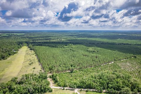 Tiny photo for xxx NE Hickory Grove Road, Pinetta, FL 32350 (MLS # 401744)