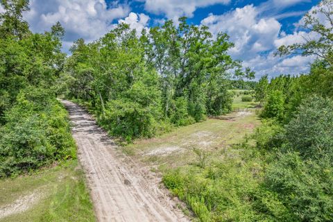 Tiny photo for xxx NE Hickory Grove Road, Pinetta, FL 32350 (MLS # 401744)