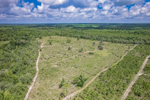 Tiny photo for xxx NE Hickory Grove Road, Pinetta, FL 32350 (MLS # 401744)
