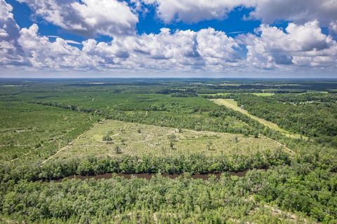Tiny photo for xxx NE Hickory Grove Road, Pinetta, FL 32350 (MLS # 401744)