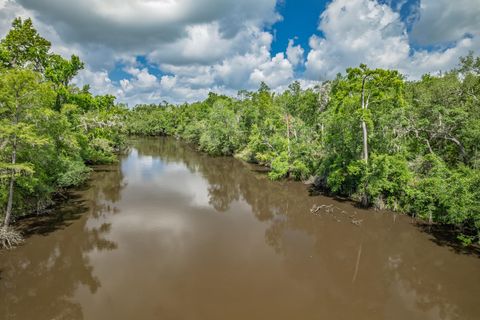 Tiny photo for xxx NE Hickory Grove Road, Pinetta, FL 32350 (MLS # 401744)