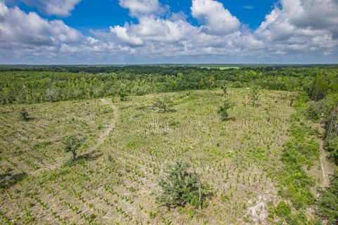Tiny photo for xxx NE Hickory Grove Road, Pinetta, FL 32350 (MLS # 401744)