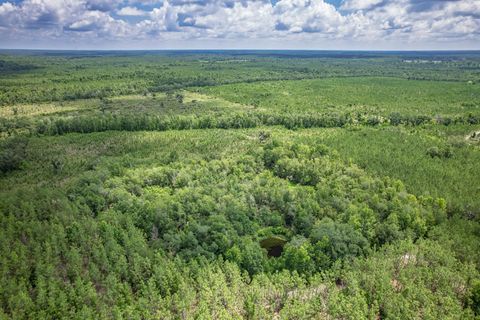 Tiny photo for xxx NE Hickory Grove Road, Pinetta, FL 32350 (MLS # 401744)