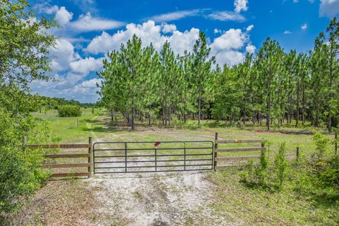 Tiny photo for xxx NE Hickory Grove Road, Pinetta, FL 32350 (MLS # 401744)