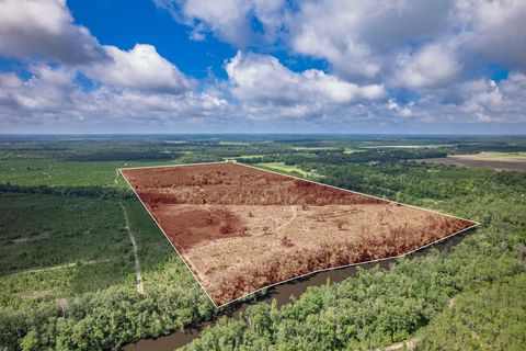 Tiny photo for xxx NE Hickory Grove Road, Pinetta, FL 32350 (MLS # 401744)