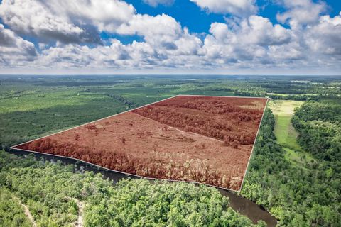 Tiny photo for xxx NE Hickory Grove Road, Pinetta, FL 32350 (MLS # 401744)