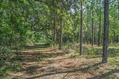 Tiny photo for xxx NE Hickory Grove Road, Pinetta, FL 32350 (MLS # 401744)