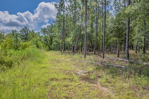 Tiny photo for xxx NE Hickory Grove Road, Pinetta, FL 32350 (MLS # 401744)