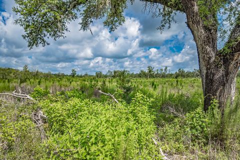 Tiny photo for xxx NE Hickory Grove Road, Pinetta, FL 32350 (MLS # 401744)