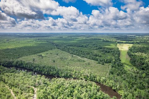 Tiny photo for xxx NE Hickory Grove Road, Pinetta, FL 32350 (MLS # 401744)