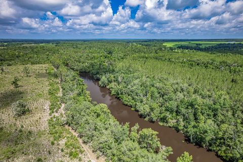 Tiny photo for xxx NE Hickory Grove Road, Pinetta, FL 32350 (MLS # 401744)