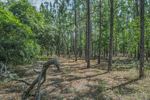 Tiny photo for xxx NE Hickory Grove Road, Pinetta, FL 32350 (MLS # 401744)