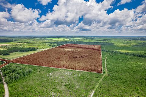 Tiny photo for xxx NE Hickory Grove Road, Pinetta, FL 32350 (MLS # 401744)