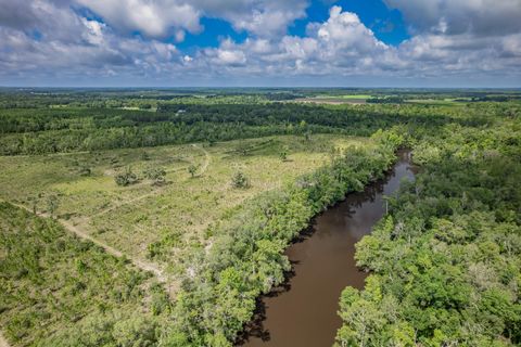 Tiny photo for xxx NE Hickory Grove Road, Pinetta, FL 32350 (MLS # 401744)