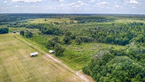 Tiny photo for 3765 Glory Road, Quincy, FL 32352 (MLS # 402042)