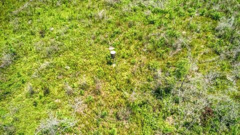 Tiny photo for 3765 Glory Road, Quincy, FL 32352 (MLS # 402042)