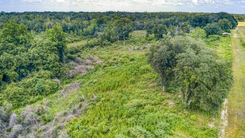 Tiny photo for 3765 Glory Road, Quincy, FL 32352 (MLS # 402042)