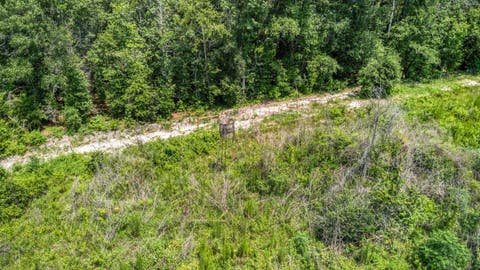 Tiny photo for 3765 Glory Road, Quincy, FL 32352 (MLS # 402042)