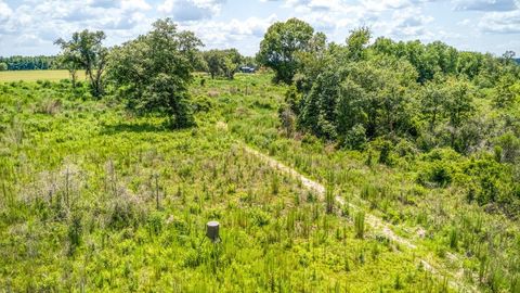 Tiny photo for 3765 Glory Road, Quincy, FL 32352 (MLS # 402042)