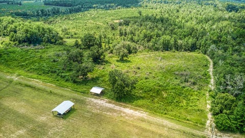Tiny photo for 3765 Glory Road, Quincy, FL 32352 (MLS # 402042)