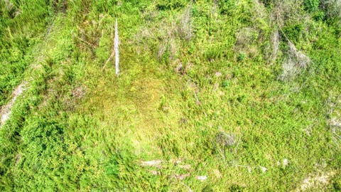 Tiny photo for 3765 Glory Road, Quincy, FL 32352 (MLS # 402042)