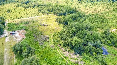 Tiny photo for 3765 Glory Road, Quincy, FL 32352 (MLS # 402042)