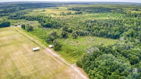 Tiny photo for 3765 Glory Road, Quincy, FL 32352 (MLS # 402042)